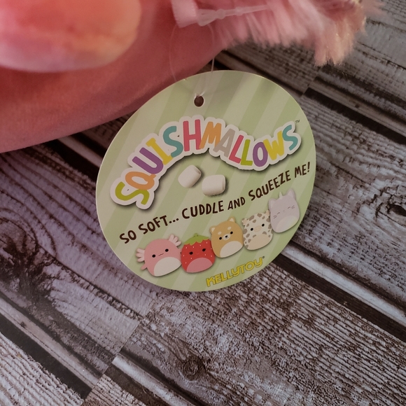 New Squishmallow Axolotl - Picture 3 of 3